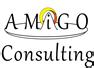 Amigo Consulting Ltd