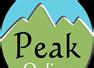 Peak Online Website Design and Digital Marketing Cardiff
