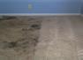 Vale Carpet Cleaning Cardiff