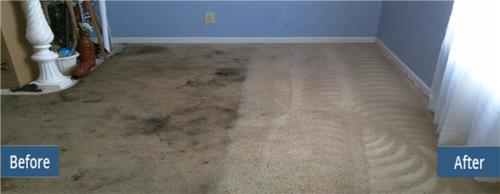 Vale Carpet Cleaning Cardiff Cardiff